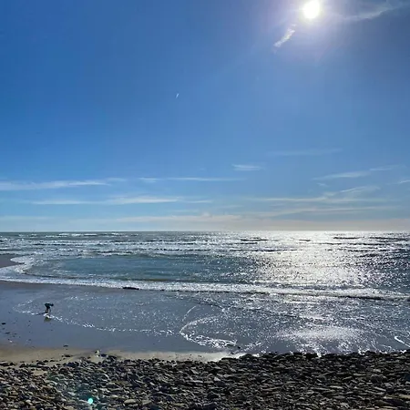 La D 'alienor